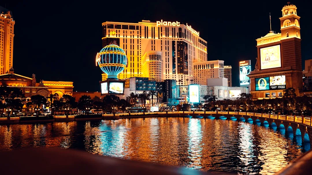 a large body of water in a city at night