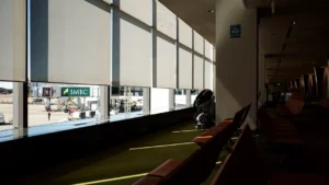 From Abandonment to Adoption: The Unforeseen Journey of a Las Vegas Airport Pup