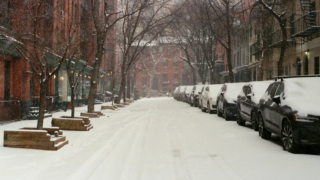 Snowfall on a city street lined with parked cars.
