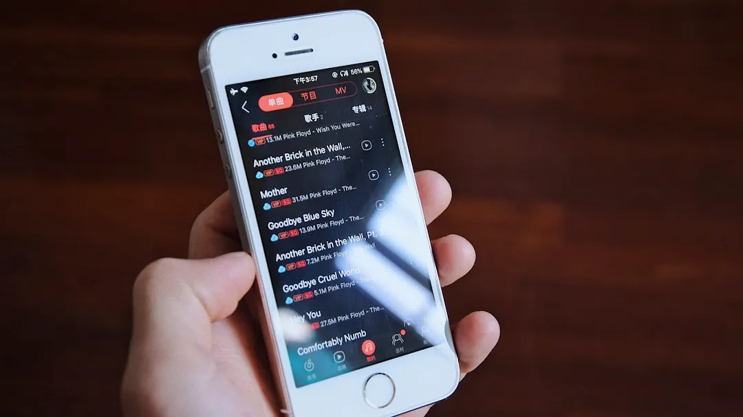 person holding silver iphone 6